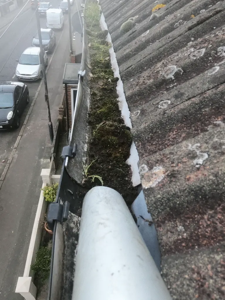 Gutter Cleaning