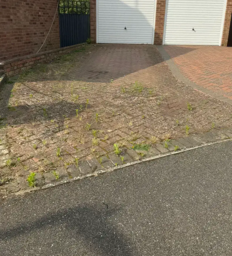 Before — gutter clearing and downpipe cleaning