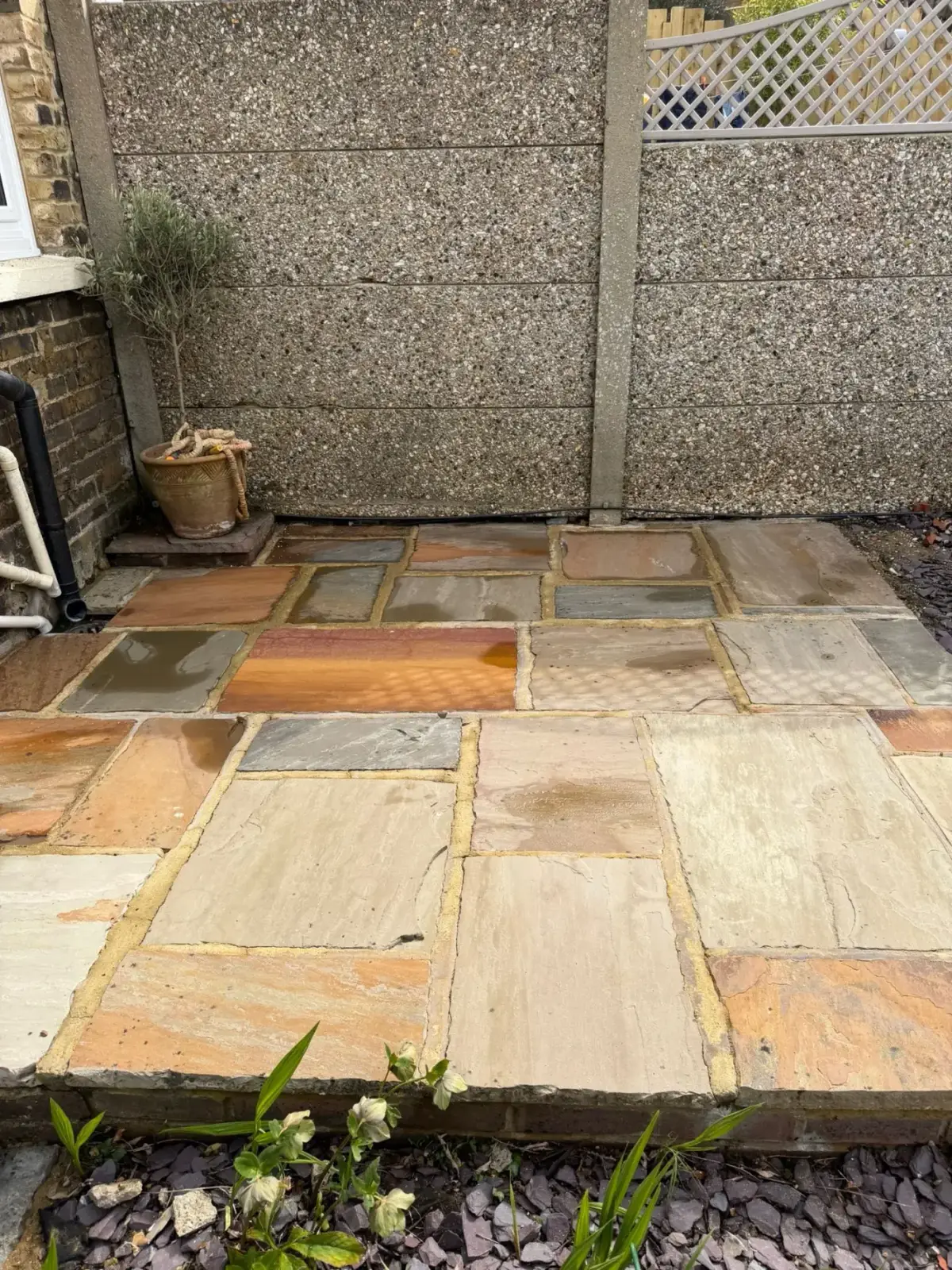 After — algae-stained path transformed by exterior cleaning