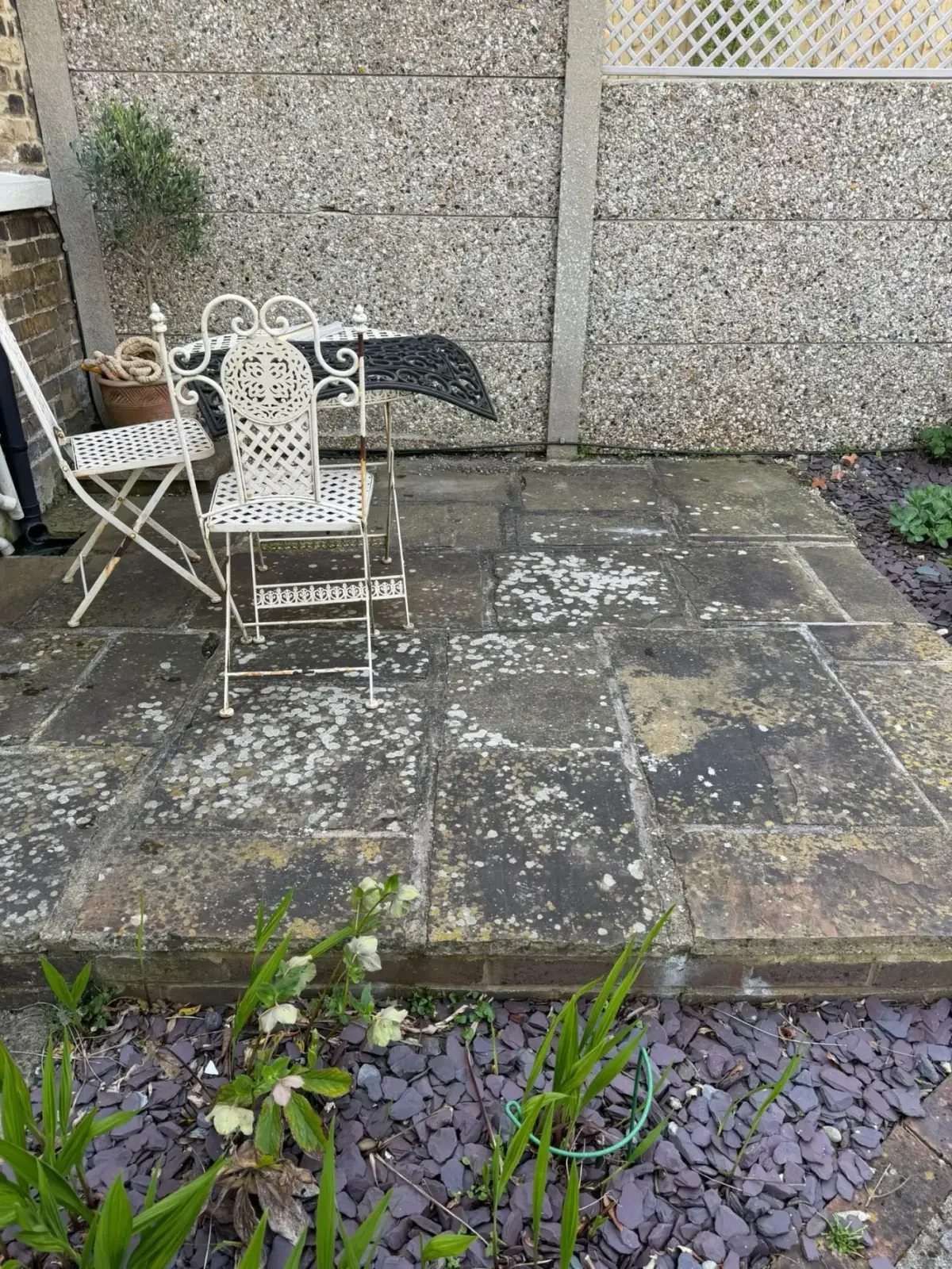 Before — algae-stained path transformed by exterior cleaning